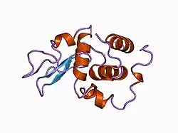 1ckf: T52A MUTANT HUMAN LYSOZYME