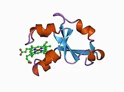 1cyo: BOVINE CYTOCHROME B(5)