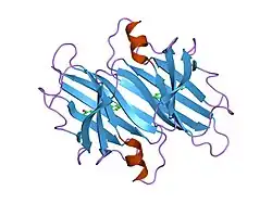 1dvs: CRYSTAL STRUCTURE OF HUMAN TRANSTHYRETIN IN COMPLEX WITH RESVERATROL