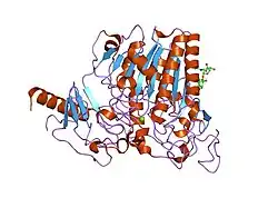 1e1z: CRYSTAL STRUCTURE OF AN ARYLSULFATASE A MUTANT C69S