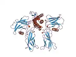 1eer: CRYSTAL STRUCTURE OF HUMAN ERYTHROPOIETIN COMPLEXED TO ITS RECEPTOR AT 1.9 ANGSTROMS