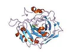 1eou: CRYSTAL STRUCTURE OF HUMAN CARBONIC ANHYDRASE II COMPLEXED WITH AN ANTICONVULSANT SUGAR SULFAMATE