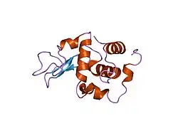 1eq5: CRYSTAL STRUCTURES OF SALT BRIDGE MUTANTS OF HUMAN LYSOZYME