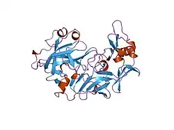 1flh: CRYSTAL STRUCTURE OF HUMAN UROPEPSIN AT 2.45 A RESOLUTION
