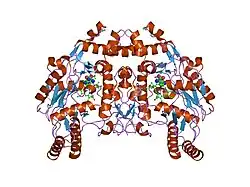1foo: BOVINE ENDOTHELIAL NITRIC OXIDE SYNTHASE HEME DOMAIN COMPLEXED WITH L-ARG AND NO(H4B-FREE)