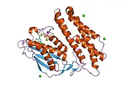 1gjv: BRANCHED-CHAIN ALPHA-KETOACID DEHYDROGENASE KINASE (BCK) COMPLXED WITH ATP-GAMMA-S