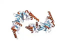1gml: CRYSTAL STRUCTURE OF THE MOUSE CCT GAMMA APICAL DOMAIN (TRICLINIC)