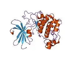 1gzo: STRUCTURE OF PROTEIN KINASE B UNPHOSPHORYLATED