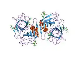 1h1b: CRYSTAL STRUCTURE OF HUMAN NEUTROPHIL ELASTASE COMPLEXED WITH AN INHIBITOR (GW475151)