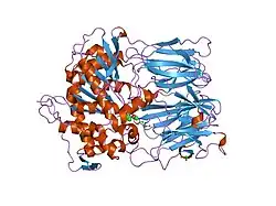 1h2z: PROLYL OLIGOPEPTIDASE FROM PORCINE BRAIN, S554A MUTANT WITH BOUND PEPTIDE LIGAND SUC-GLY-PRO