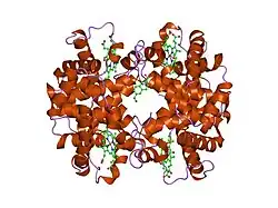 1hac: CROSSLINKED HAEMOGLOBIN
