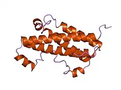 1huw: THE CRYSTAL STRUCTURE OF AFFINITY-MATURED HUMAN GROWTH HORMONE AT 2 ANGSTROMS RESOLUTION