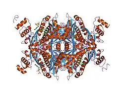 1hwk: COMPLEX OF THE CATALYTIC PORTION OF HUMAN HMG-COA REDUCTASE WITH ATORVASTATIN