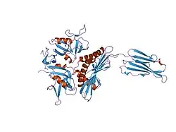 1hyr: CRYSTAL STRUCTURE OF HUMAN MICA IN COMPLEX WITH NATURAL KILLER CELL RECEPTOR NKG2D