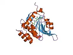 1i1n: HUMAN PROTEIN L-ISOASPARTATE O-METHYLTRANSFERASE WITH S-ADENOSYL HOMOCYSTEINE
