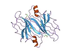 1iii: CRYSTAL STRUCTURE OF THE TRANSTHYRETIN MUTANT TTR Y114C-DATA COLLECTED AT ROOM TEMPERATURE