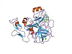 1iqi: Human coagulation factor Xa in complex with M55125