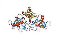 1j34: Crystal Structure of Mg(II)-and Ca(II)-bound Gla Domain of Factor IX Complexed with Binding Protein