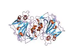 1jcz: CRYSTAL STRUCTURE OF THE EXTRACELLULAR DOMAIN OF HUMAN CARBONIC ANHYDRASE XII