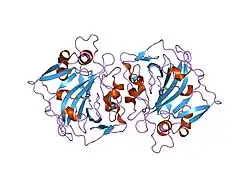 1jd0: CRYSTAL STRUCTURE OF THE EXTRACELLULAR DOMAIN OF HUMAN CARBONIC ANHYDRASE XII COMPLEXED WITH ACETAZOLAMIDE