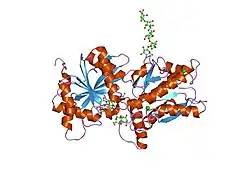 1jdn: Crystal Structure of Hormone Receptor