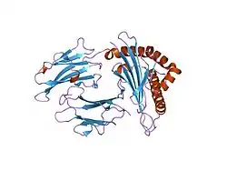 1jge: HLA-B*2705 bound to nona-peptide m9
