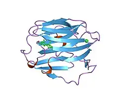 1kdm: THE CRYSTAL STRUCTURE OF THE HUMAN SEX HORMONE-BINDING GLOBULIN (TETRAGONAL CRYSTAL FORM)