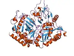 1khf: PEPCK complex with PEP