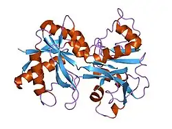 1lct: STRUCTURE OF THE RECOMBINANT N-TERMINAL LOBE OF HUMAN LACTOFERRIN AT 2.0 ANGSTROMS RESOLUTION