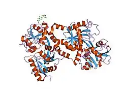 1lfg: MOLECULAR REPLACEMENT SOLUTION OF THE STRUCTURE OF APOLACTOFERRIN, A PROTEIN DISPLAYING LARGE-SCALE CONFORMATIONAL CHANGE