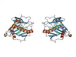 1ln3: Structure of Human Phosphatidylcholine Transfer Protein in Complex with Palmitoyl-Linoleoyl Phosphatidylcholine (Seleno-Met Protein)