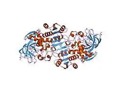 1m6w: Binary complex of Human glutathione-dependent formaldehyde dehydrogenase and 12-Hydroxydodecanoic acid