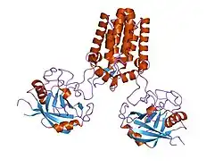 1m9f: X-ray crystal structure of Cyclophilin A/HIV-1 CA N-terminal domain (1-146) M-type H87A,A88M Complex.