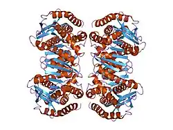 1mld: REFINED STRUCTURE OF MITOCHONDRIAL MALATE DEHYDROGENASE FROM PORCINE HEART AND THE CONSENSUS STRUCTURE FOR DICARBOXYLIC ACID OXIDOREDUCTASES