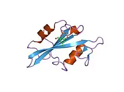 1o4e: CRYSTAL STRUCTURE OF SH2 IN COMPLEX WITH RU78299.