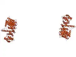 1o6p: IMPORTIN BETA BOUND TO A GLFG NUCLEOPORIN PEPTIDE