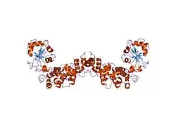 1ou5: Crystal structure of human CCA-adding enzyme