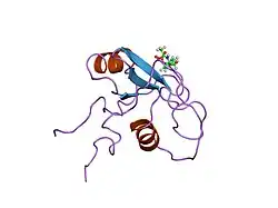 1pic: PHOSPHATIDYLINOSITOL 3-KINASE, P85-ALPHA SUBUNIT: C-TERMINAL SH2 DOMAIN COMPLEXED WITH A TYR751 PHOSPHOPEPTIDE FROM THE PDGF RECEPTOR, NMR, MINIMIZED MEAN STRUCTURE