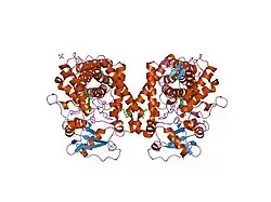 1pq2: Crystal Structure of Human Drug Metabolizing Cytochrome P450 2C8