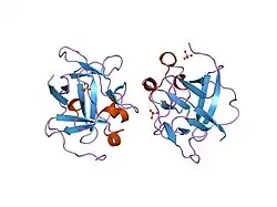 1pzz: Crystal structure of FGF-1, V51N mutant