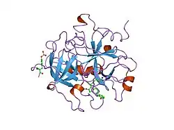 1qj6: NOVEL COVALENT ACTIVE SITE THROMBIN INHIBITORS