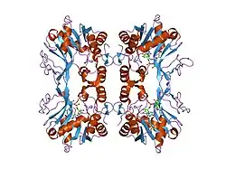 1qwj: The Crystal Structure of Murine CMP-5-N-Acetylneuraminic Acid Synthetase