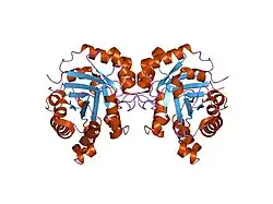 1r2t: CRYSTAL STRUCTURE OF RABBIT MUSCLE TRIOSEPHOSPHATE ISOMERASE