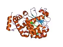 1r5l: Crystal Structure of Human Alpha-Tocopherol Transfer Protein Bound to its Ligand