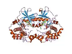 1s9i: X-ray structure of the human mitogen-activated protein kinase kinase 2 (MEK2)in a complex with ligand and MgATP