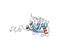 1shc: SHC PTB DOMAIN COMPLEXED WITH A TRKA RECEPTOR PHOSPHOPEPTIDE, NMR, MINIMIZED AVERAGE STRUCTURE