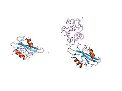1sps: BINDING OF A HIGH AFFINITY PHOSPHOTYROSYL PEPTIDE TO THE SRC SH2 DOMAIN: CRYSTAL STRUCTURES OF THE COMPLEXED AND PEPTIDE-FREE FORMS