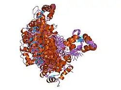 1tnw: NMR SOLUTION STRUCTURE OF CALCIUM SATURATED SKELETAL MUSCLE TROPONIN C
