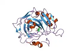 1ttm: Human carbonic anhydrase II complexed with 667-coumate