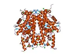 1tzy: Crystal Structure of the Core-Histone Octamer to 1.90 Angstrom Resolution